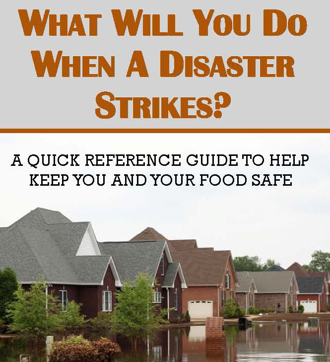 Disaster Food Safety Cover